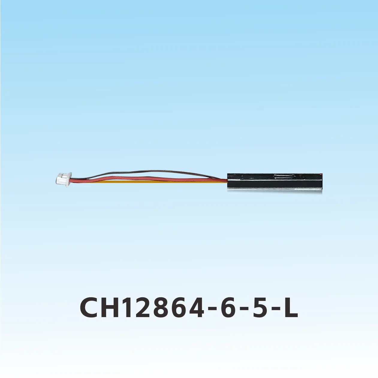 CH12864-6-5- L